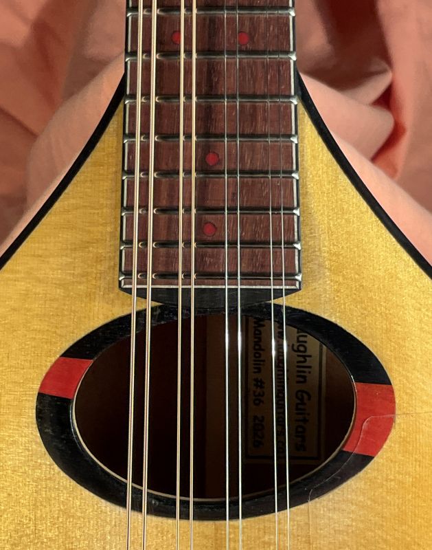 laughlin mahogany mandolin